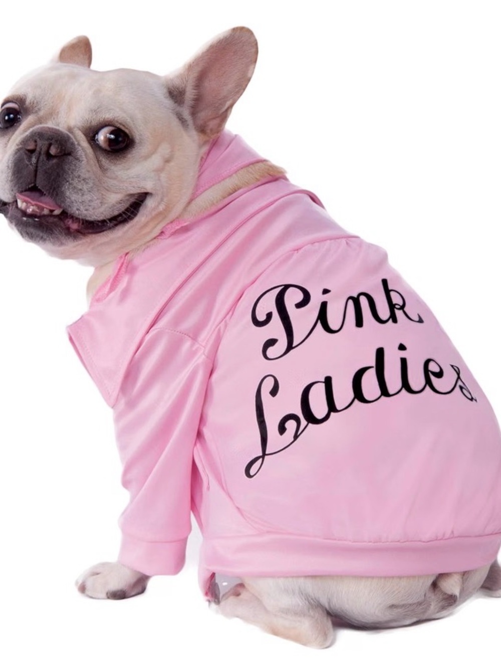 Grease: Pink Ladies Pet Costume/Outfit